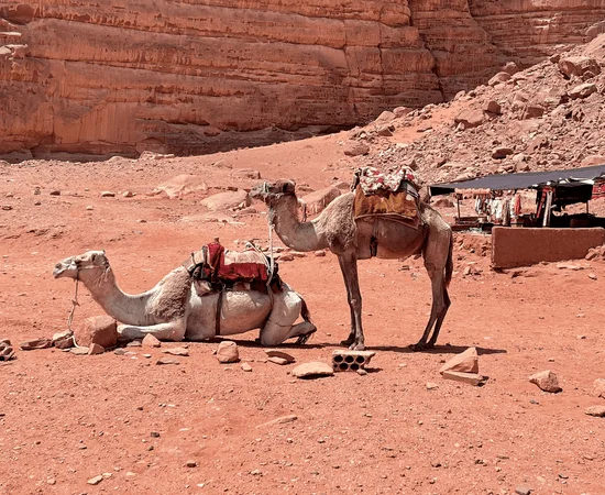 Wadi Rum