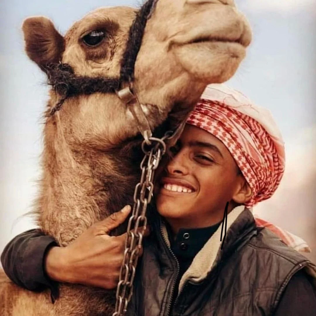 Camel Tours in Wadi Rum